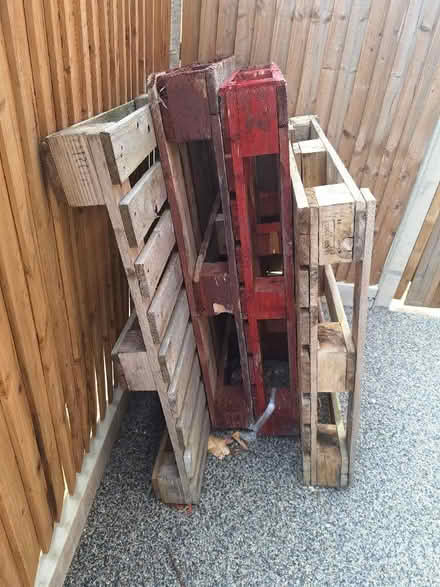 Photo of free Pallets x 4 (Maidstone town center)