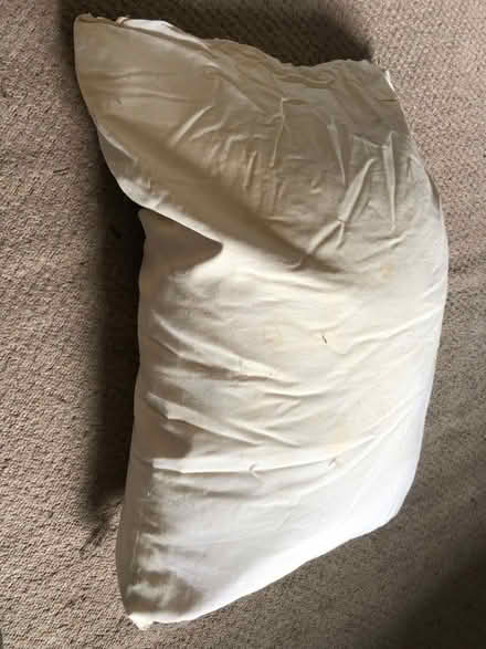 Photo of free Old feather pillow (Paulton)