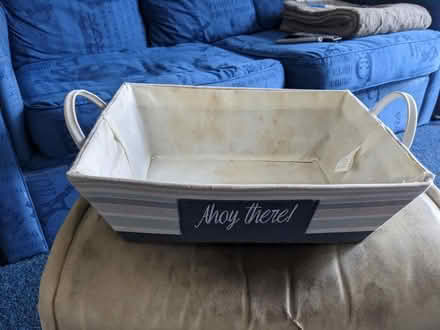 Photo of free Twin handle carry basket (EH6) #1