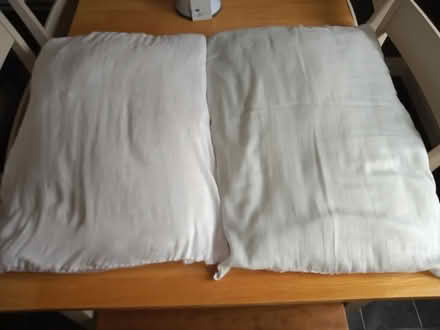 Photo of free pillows (Blakenall WS3) #1