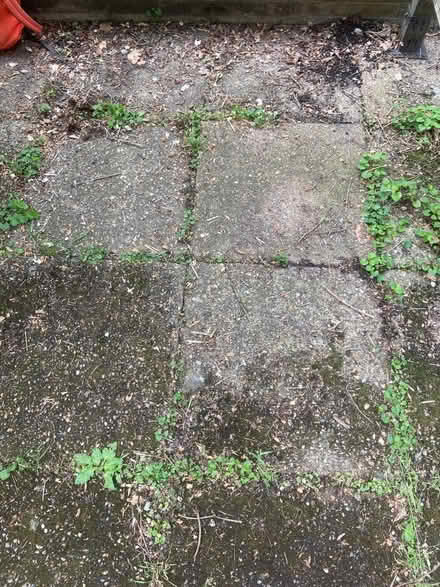 Photo of free Concrete flagstones (E9)