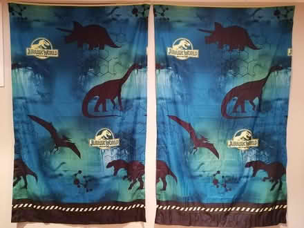 Photo of free Jurassic World Polyester Curtains (Old Ottawa East)
