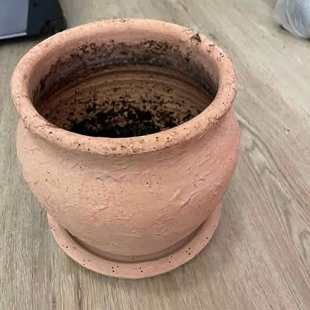 Photo of free Terracotta Pot Planter for Plants (Houston and 2nd Ave)