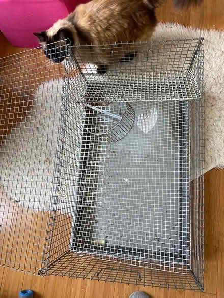 Photo of free Rat / guinea pig cage (Baldock (Baldock (SG7))
