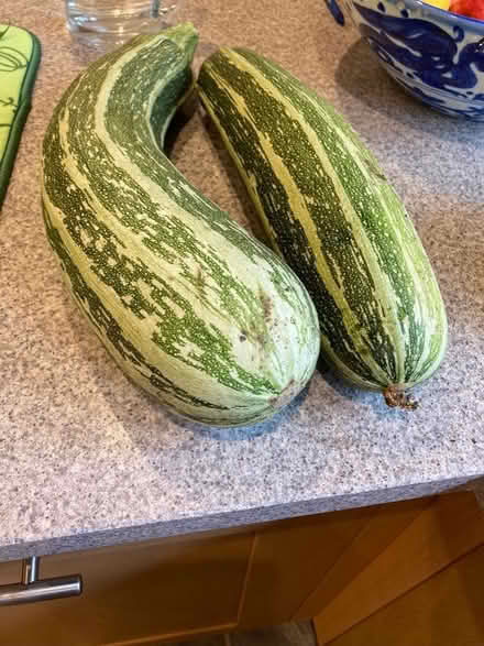 Photo of free Marrows (Bath & North East Somerset)