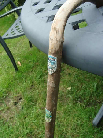 Photo of free wooden walking sticks (Mellor SK6) #3