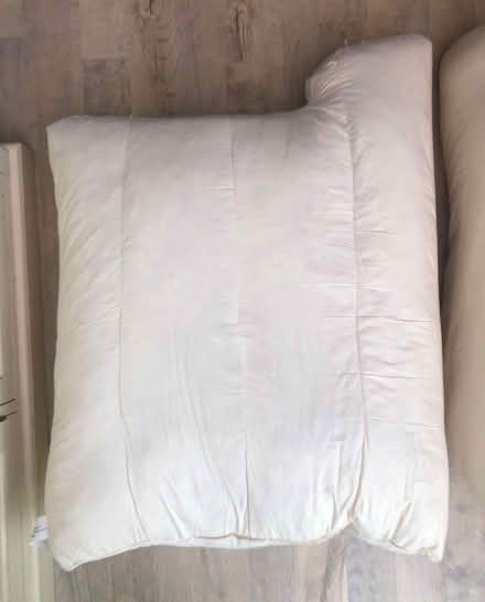 Photo of free Sofa cushions (Moss Side PR26) #2