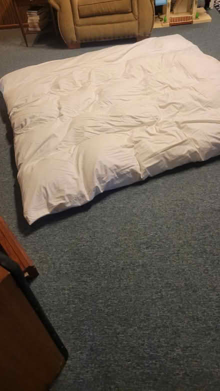 Photo of free King size featherbed topper (NW Livonia)