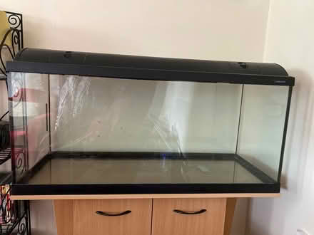 Photo of free Fish tank and bespoke cupboard (Carmarthen town)