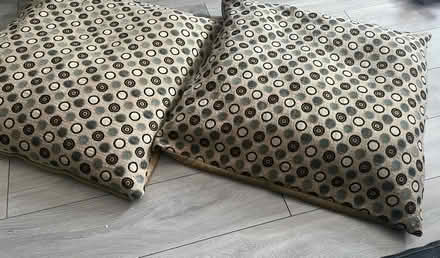 Photo of free Floor Cushions (HA9)