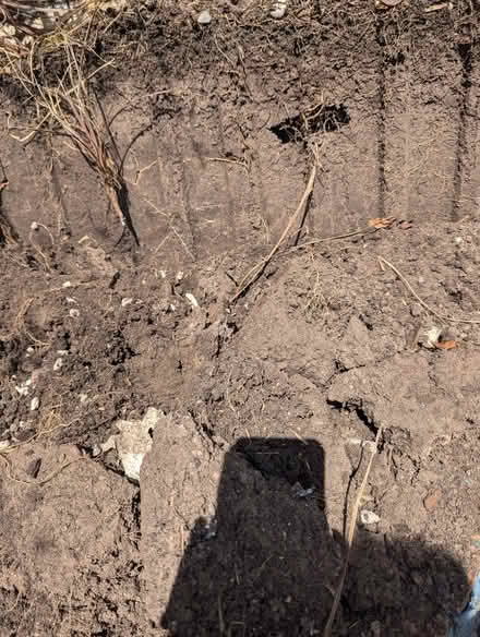 Photo of free Soil/Compost (Pemberton WN5)