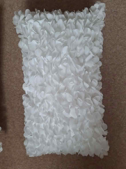 Photo of free Pair of white cushions (Royal Leamington Spa CV32)