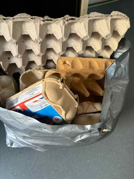 Photo of free Egg boxes ( for composting) (Moulsecoomb BN2)