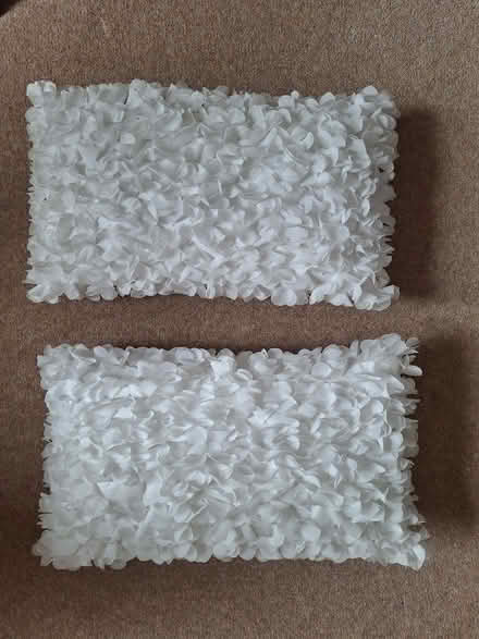 Photo of free Pair of white cushions (Royal Leamington Spa CV32)