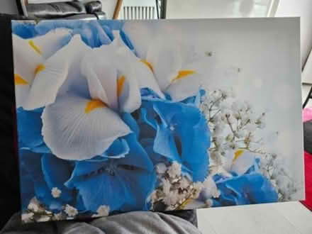 Photo of free Canvas (TW5, Hounslow West)