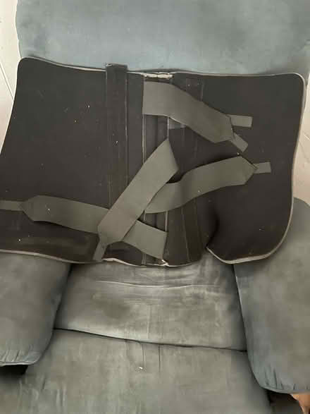 Photo of free Back Brace (Comstock) #1