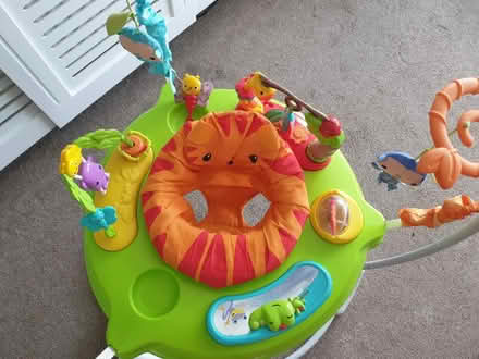 Photo of free Jumperoo bouncer working order (Tadworth)