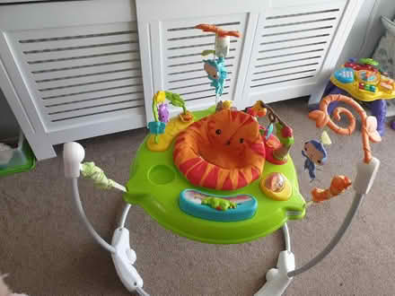Photo of free Jumperoo bouncer working order (Tadworth)