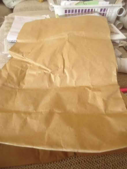 Photo of free 20 Brown paper bags (Malvern Link WR14) #1