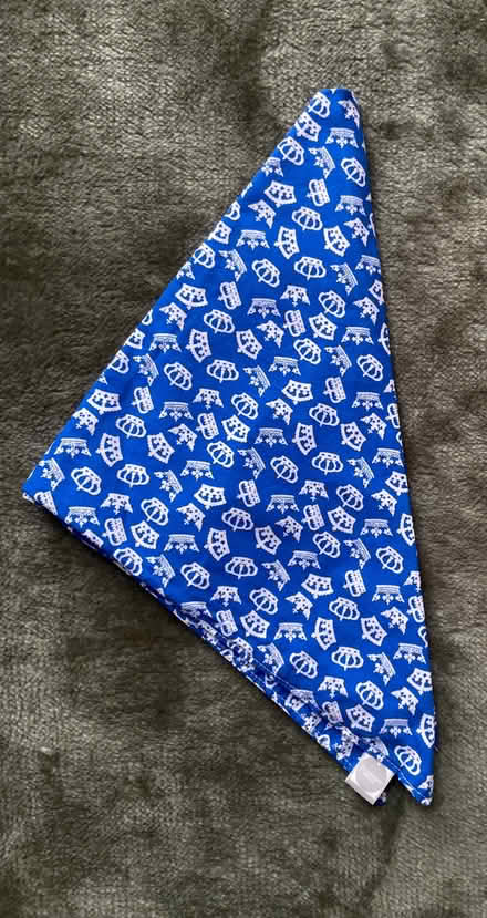 Photo of free Dog bandana. Slumbering Hound brand. Royal crowns pattern. (Loughton IG10) #1