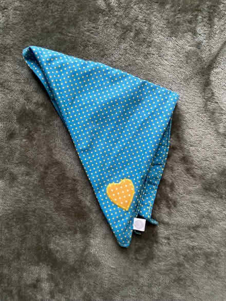 Photo of free Dog bandana. Slumbering Hound brand. Yellow heart motif. (Loughton IG10) #1