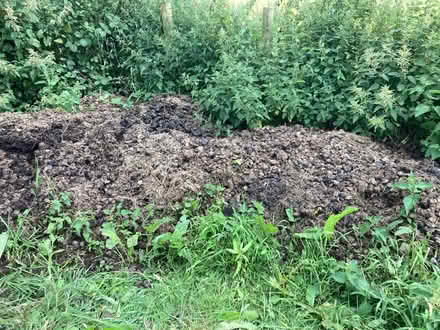 Photo of free Horse Manure (Howey LD1) #2