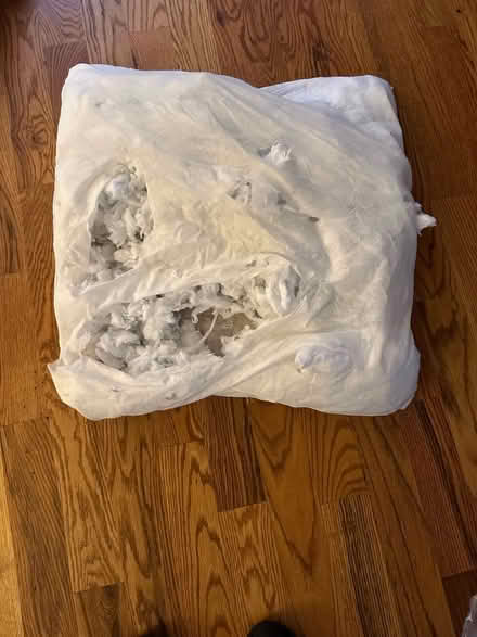 Photo of free 24-inch pillow inserts (Wade Green Road) #2