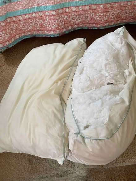 Photo of free 2 old stuffed pillows (Severna Park/Manhattan Beach) #1