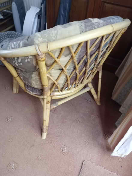 Photo of free Cane Conservatory Chair (Emsworth PO10) #2