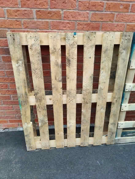 Photo of free 1 Pallet in good condition (SG16) #2