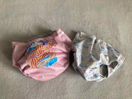 Photo of free 2 baby swim bottoms (Bronx) #1