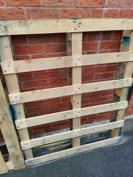 Photo of free 1 Pallet in good condition (SG16) #3