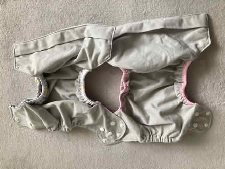 Photo of free 2 baby swim bottoms (Bronx) #3