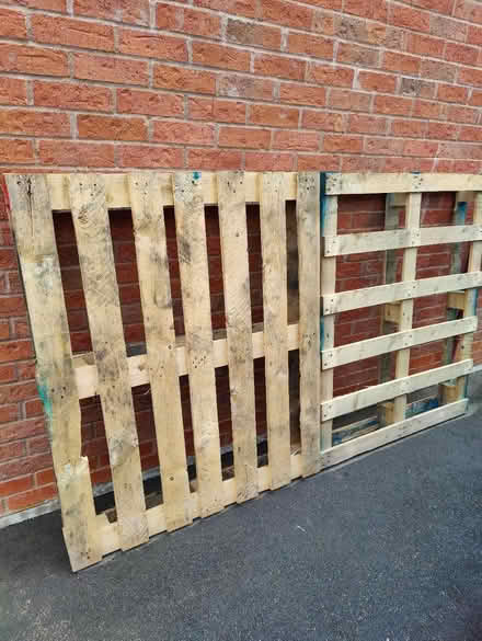 Photo of free 1 Pallet in good condition (SG16) #1