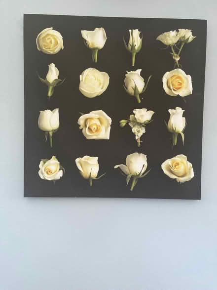 Photo of free Flower canvas (Bridlington YO16) #1