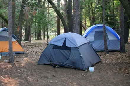 Photo of Tent (Shenley Brook End MK5) #1