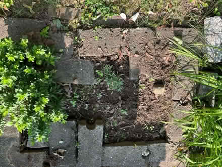 Photo of free 8 “L” shaped cinderblocks (Madison)