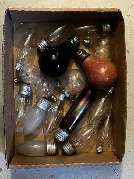 Photo of free Light Bulbs (1711 Randall Avenue, Bronx) #1