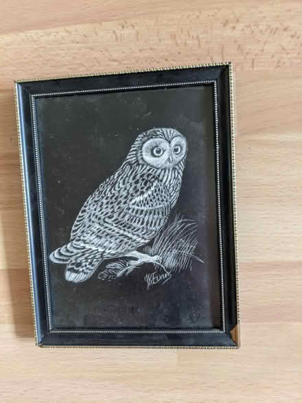 Photo of free Owl print (Banstead SM7) #1