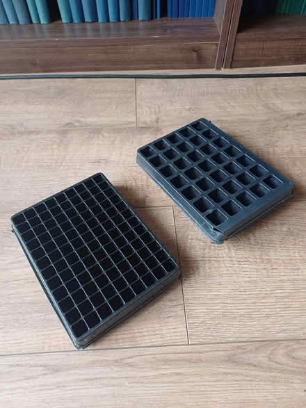 Photo of free Mini Seed Trays (Rainham, Kent - ME8) #2