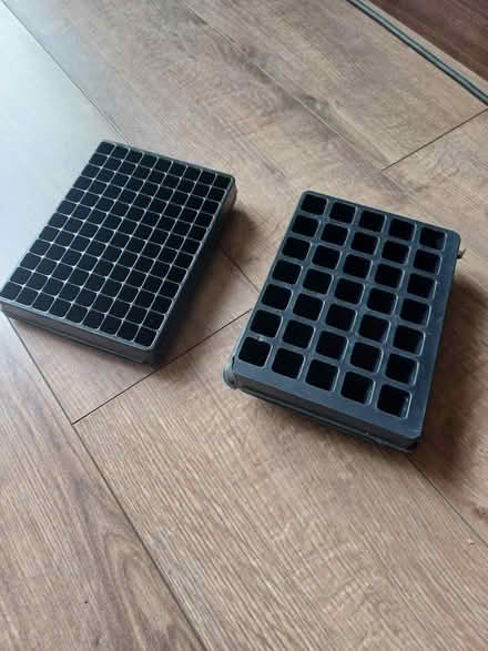 Photo of free Mini Seed Trays (Rainham, Kent - ME8) #1