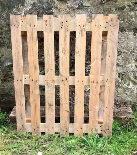 Photo of free Wood Pallet (Penzance TR18) #1