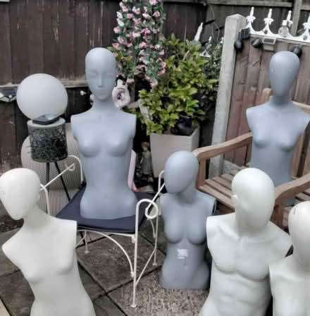 Photo of Part shop mannequin (Wollaton NG8) #2