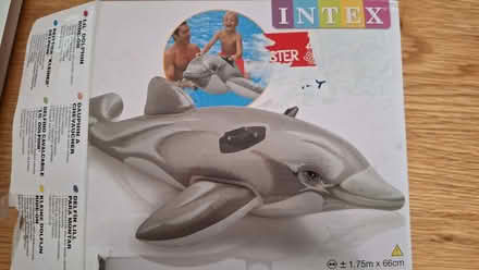 Photo of free Dolphin inflatable (Horsell GU21)