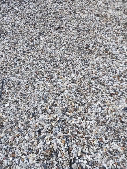 Photo of free Garden Shingles gravel stone 20mm (EN10 6FY) #1
