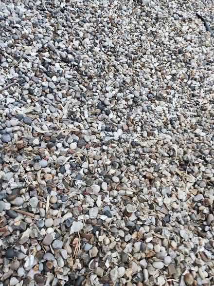 Photo of free Garden Shingles gravel stone 20mm (EN10 6FY) #2