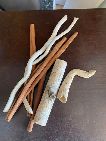 Photo of free Sticks / birch (Orléans) #1