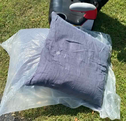 Photo of free Down feather cushions (Orléans) #1