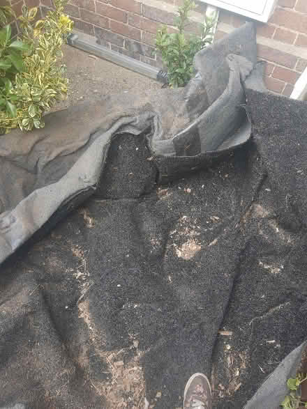 Photo of free Outdoor carpet, fake turf (DE21)