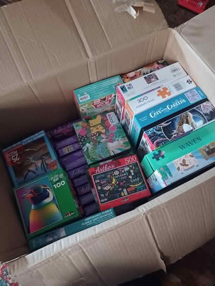Photo of free 20+ puzzels (South ozone pk, queens) #1